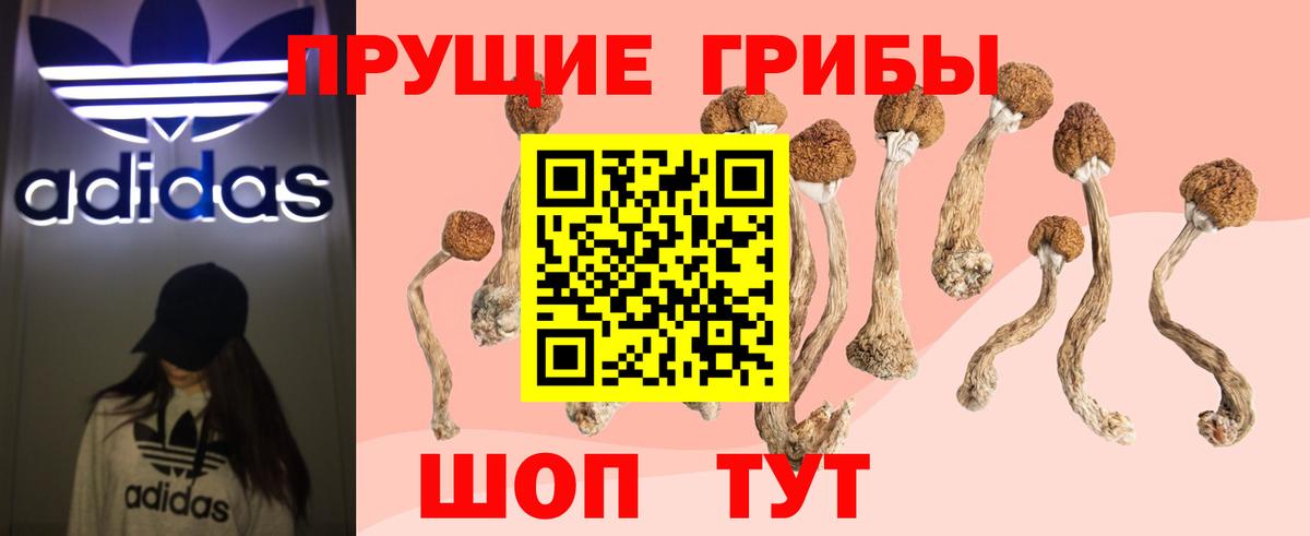 Сертолово  Псилоцибиновые грибы ЛСД  Галлюциногенные грибы GOLDEN TEACHER  Вход с VPN 